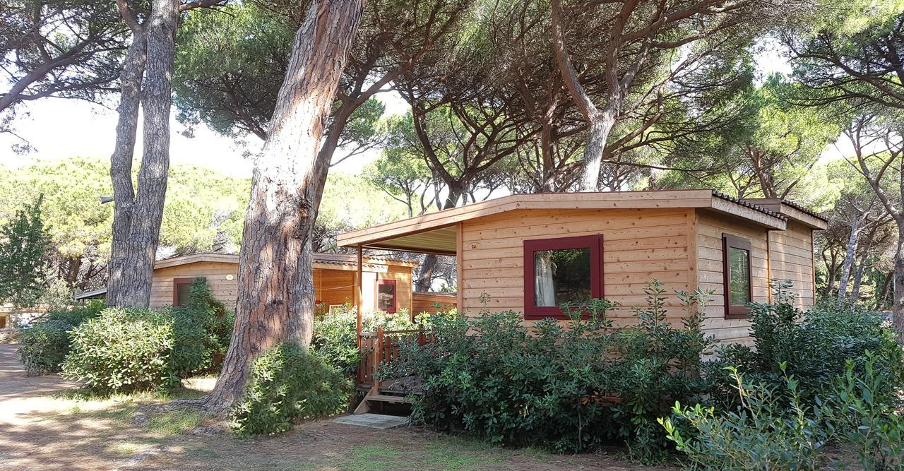 Le Esperidi Camping Ecoresort 마리나디비보나 외부 사진