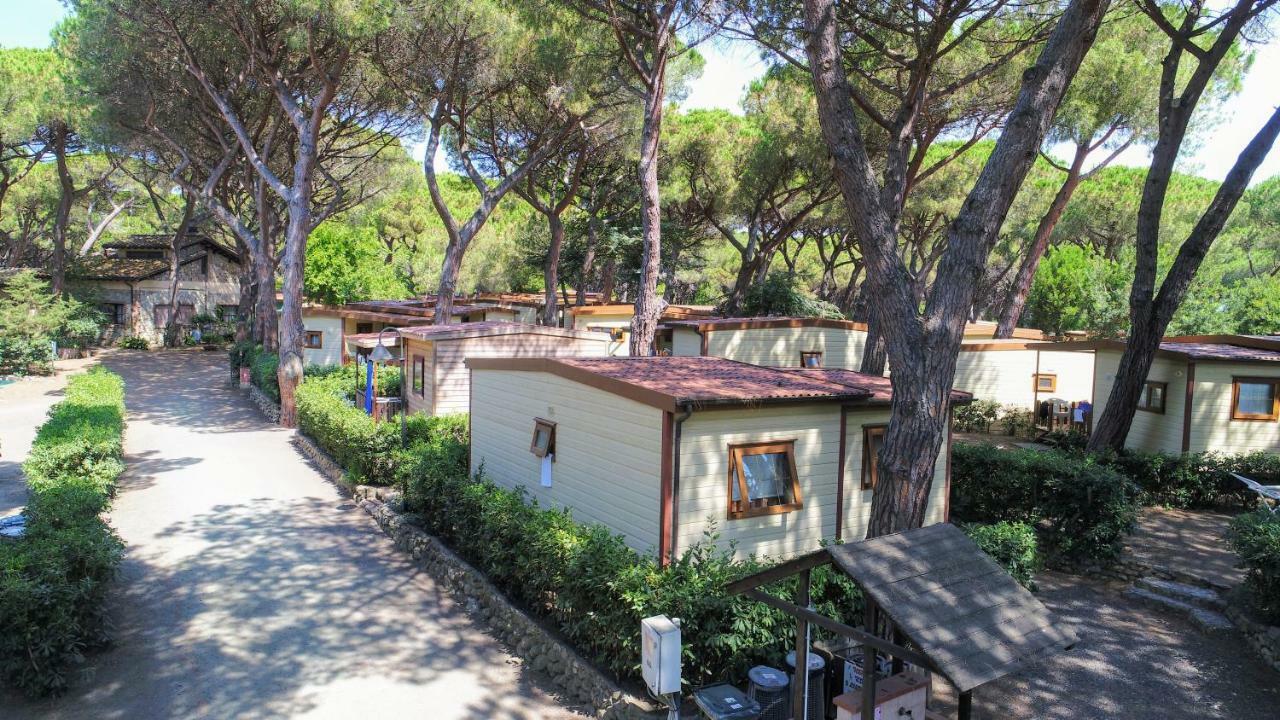 Le Esperidi Camping Ecoresort 마리나디비보나 외부 사진